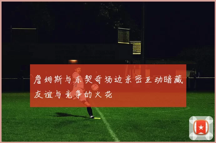 詹姆斯与东契奇场边亲密互动暗藏友谊与竞争的火花