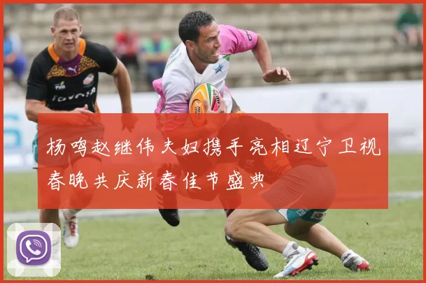 杨鸣赵继伟夫妇携手亮相辽宁卫视春晚共庆新春佳节盛典